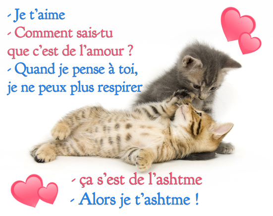 Message d amour humoristique Dire Je t aime avec Humour 