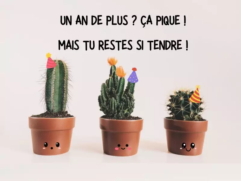 Carte d'anniversaire originale  et tendre pour souhaiter un joyeux anniversaire avec amour, amitié et un peu d'humour