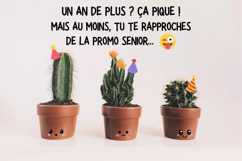 Message drôle humour anniversaire ami rigolo comique marrant blague