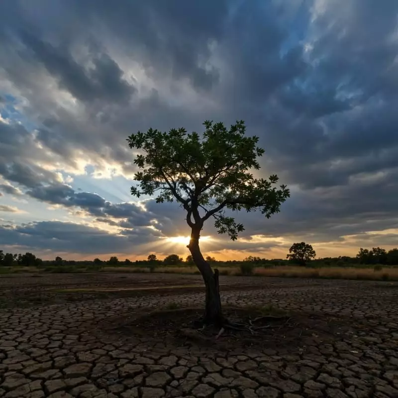 Après la pluie le beau temps revient : messages d'espérance et d'espoir
