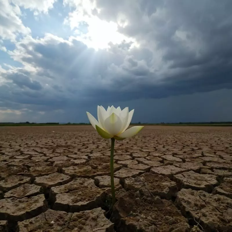 Le bonheur et l'espoir reviennent après une épreuve : message de courage